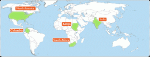 facilitator map
