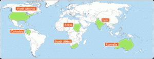 Map of the World with locations of facilitators